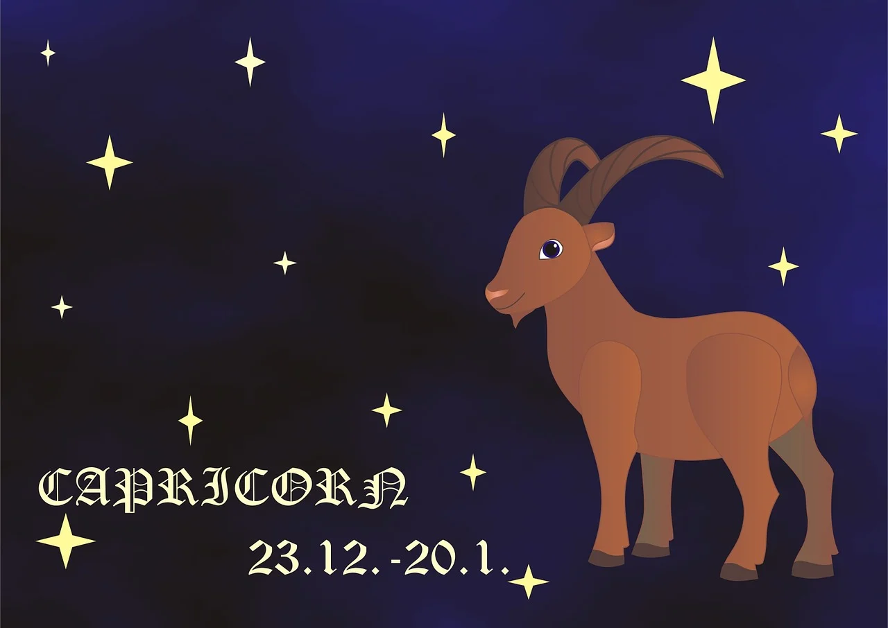 Capricorn zodiac illustration