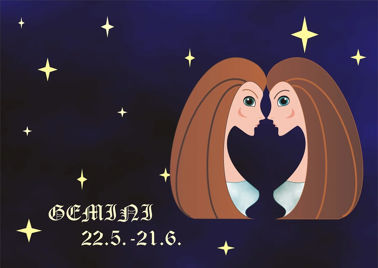 Gemini zodiac illustration