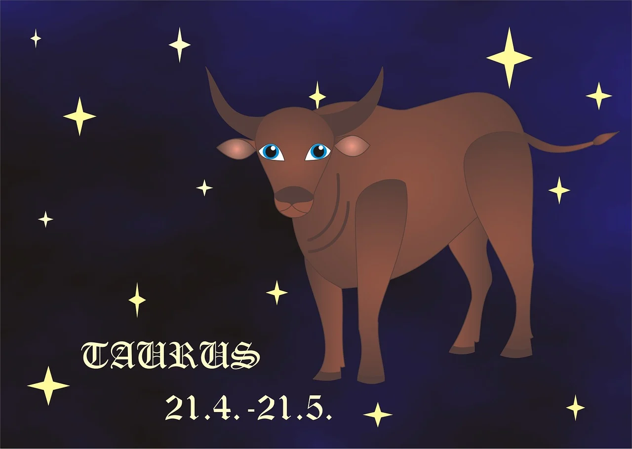 Taurus zodiac illustration